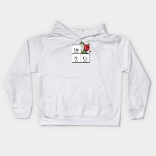 Be Nice Kids Hoodie